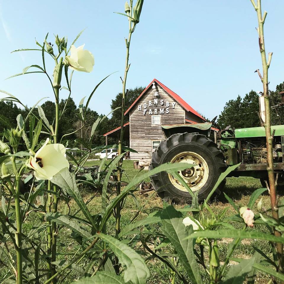 Farm Store Goods Hornsby Farms